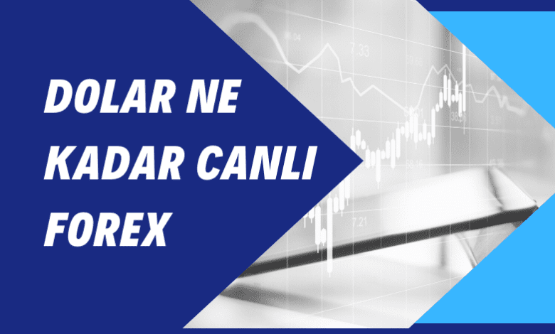 Dolar Ne Kadar Canlı Forex