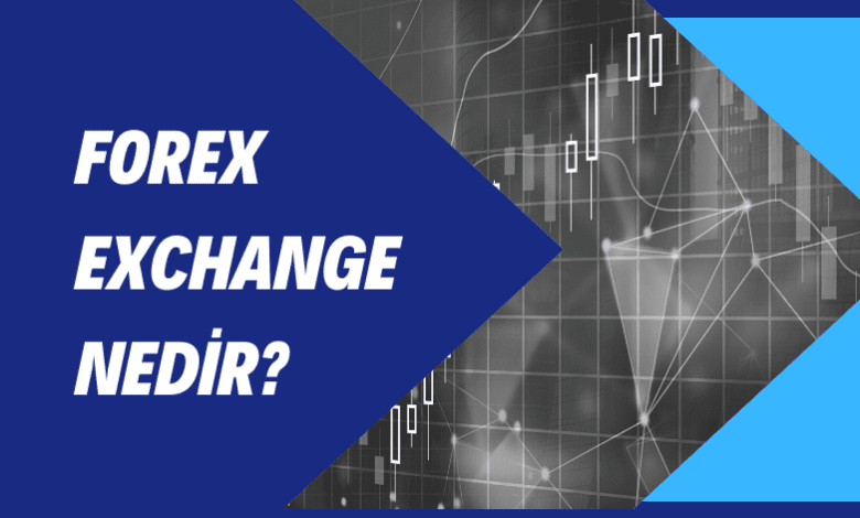 Forex Exchange Nedir?