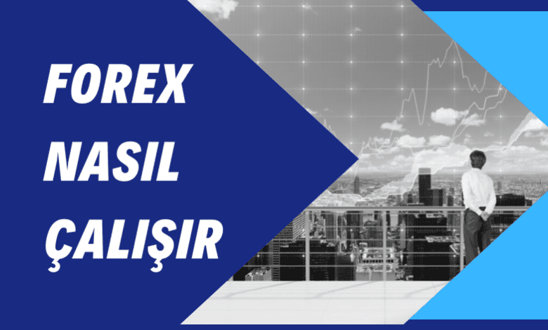 Forex Nasıl Çalışır