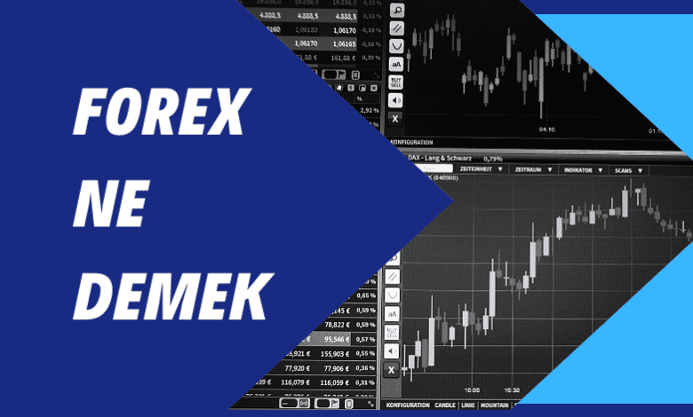 Forex Ne Demek