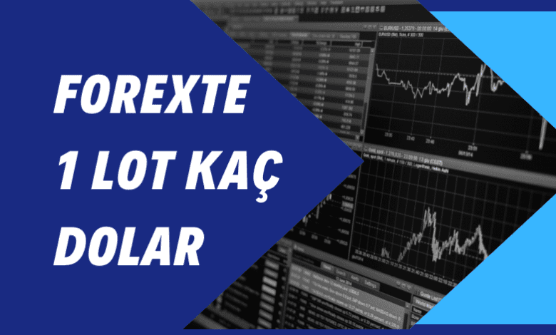 Forexte 1 Lot Kaç Dolar