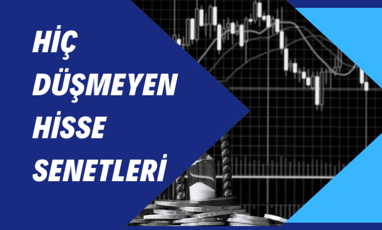 Hiç Düşmeyen Hisse Senetleri